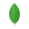 MongoDB